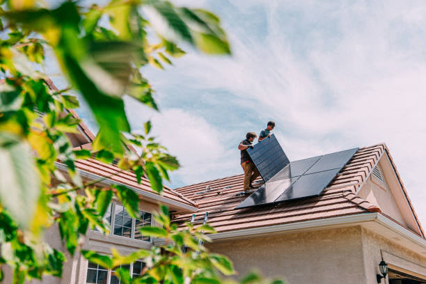 Best Roof Moss and Algae Removal  in Raymond, MS