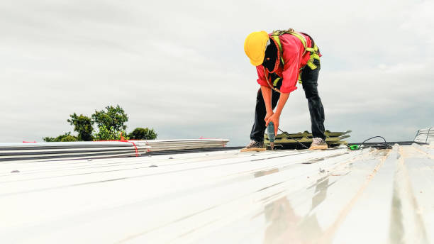 Best Roof Insulation Installation  in Raymond, MS