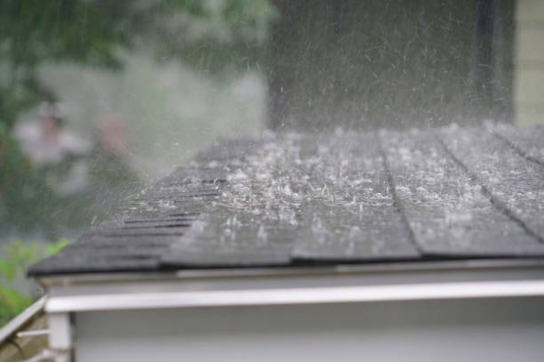 Best Roof Ventilation Installation  in Raymond, MS