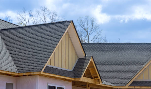 Best Chimney Flashing Repair  in Raymond, MS
